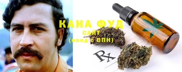 сатива Арсеньев