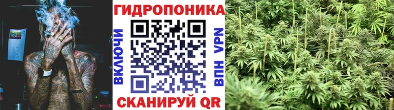 Бошки Шишки индика  mega как войти  Тосно 